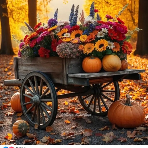 Meet your Posher, C - Picture 6 of 6